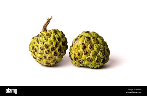 Custard Apple Fruit On White Background Isolated Stock Photo Alamy