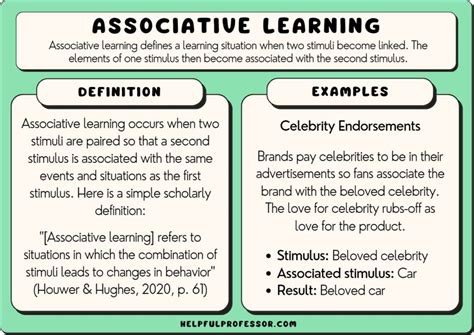 15 Associative Learning Examples 2025