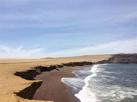 Playa Roja Paracas Peru Top Tips Before You Go Tripadvisor