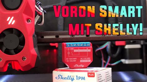 3D Drucker Smart Mit Shelly Plus 1 PM Montage Einrichtung Voron 2