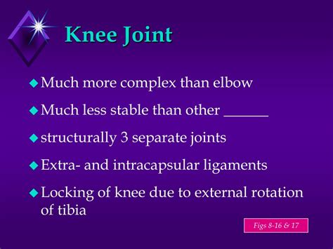 PPT - Anat 1 Chapter 8 : Articulations PowerPoint Presentation, free