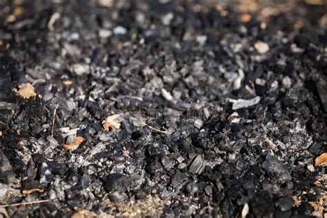 Natural Wood Charcoal Biomass For Energy Stock Image Image Of