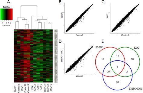 Gene Expression Analysis A Heatmap Of Microarray Data Scattered