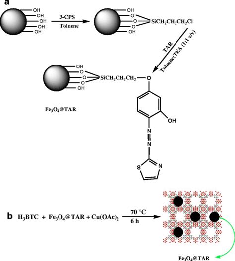 A Schematic Diagram Of Fe3o4 Functionalization By Tar Ligand B The