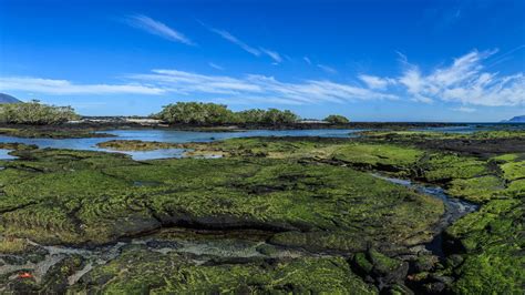 Galapagos Yachting | Galapagos Unbound