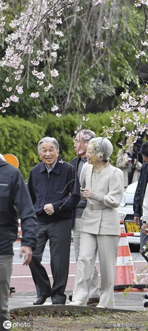 日本樱花盛开，即将退位的明仁天皇夫妇微服出宫观赏，与民同乐 每日头条