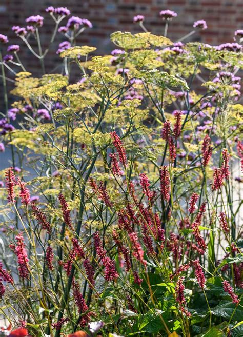 Naturalistic Garden Design in the heart of Kent by Jo Thompson ...