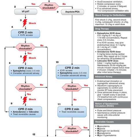 American Heart Associations Pediatric Cardiac Arrest Algorithm 2015