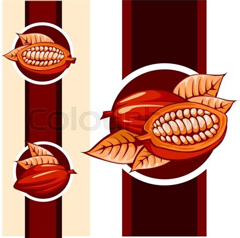 Cocoa bean design - vector ... | Stock vector | Colourbox