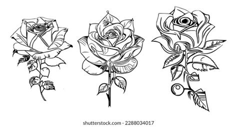 Three Roses Coloring Book Showcases Stunning Stock Vector Royalty Free