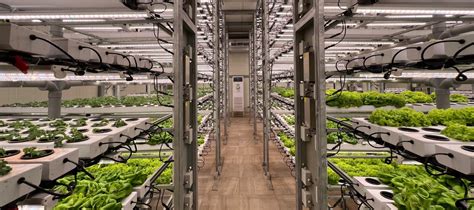 Exploring Vertical Farming Systems: Maximizing Space Efficiency ...