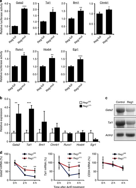 Regnase Recognizes And Degrades Gata And Tal Mrna A Luciferase