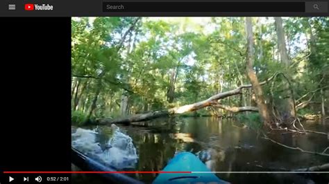 Alligator Rams Kayak Into North Carolina Waccamaw River Viral Video