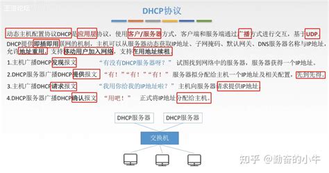 一文读懂dhcp协议 Andand Dhcpv6协议 知乎