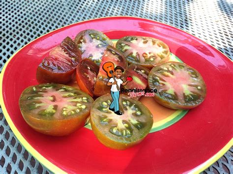 Black Prince Tomato Seeds For Sale At Renaissance Farms