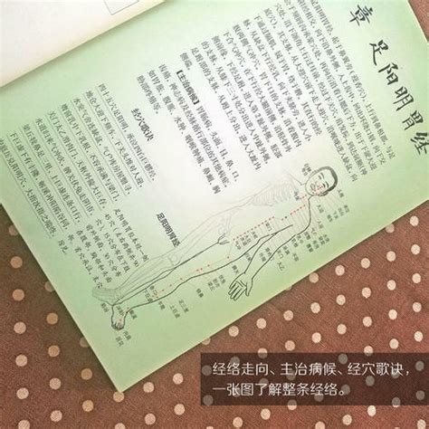 Libro De Im Genes Con Puntos De Acupuntura Versi N China Gu A De