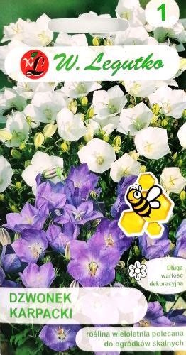 Campanula Carpatica Mix Seeds - Irish Plants Direct