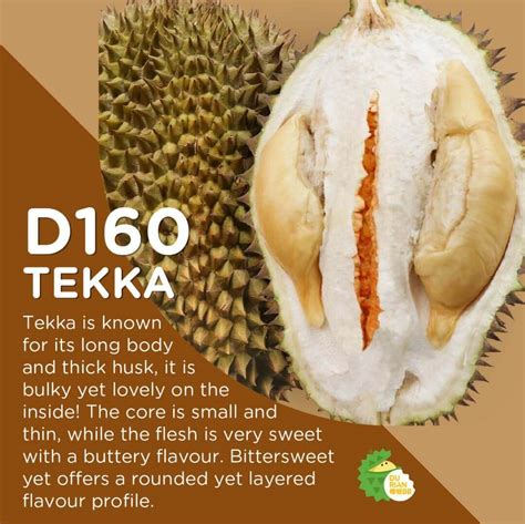 Types Of Durian In Singapore How To Choose A Fresh One Durianbb