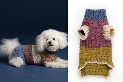 Textured Dog Coat - Free Crochet Pattern