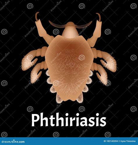 Parasitic Diseases Of Phthiriasis Pediculosis Pubis Pubic Lice Structure Sexually Transmitted