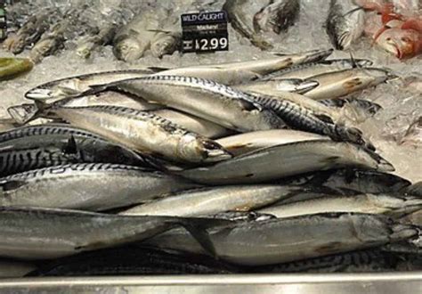 Seafood Fraud Investigation 20 Of Tested Fish Mislabeled Nationwide