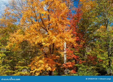 Fall Colors in the Blue Ridge Mountains Stock Photo - Image of leaf ...