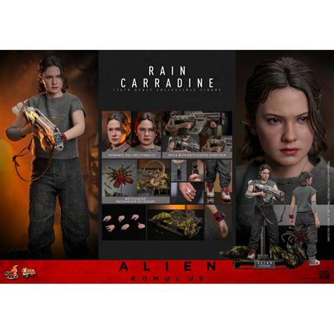 Hot Toys Pre Order 1 6TH SCALE Kingdom Come