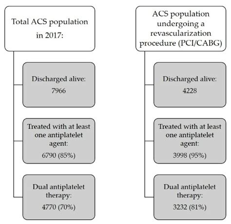 JCM | Free Full-Text | Antiplatelet Therapy during the First Year after ... 