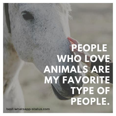 Animal Quotes Love