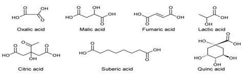 Organic Acids Analysis Service - Creative Proteomics