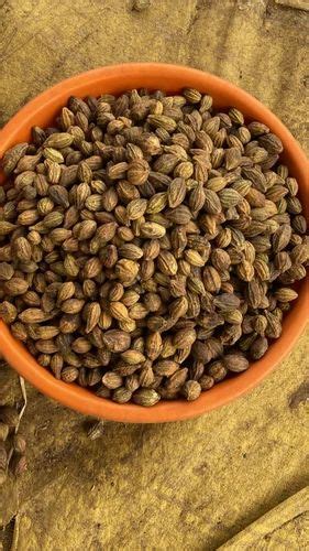 Dried Harad Badi Pili Haritaki Whole Inknut Beej Haralu Terminalia