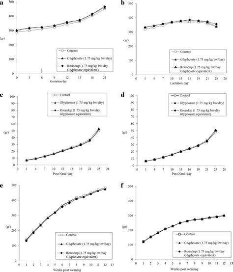 Average Body Weight Dams During Gestation A Treatment Starting At