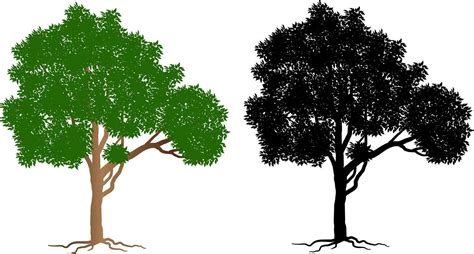 Black Branch Tree Or Naked Trees Silhouettes Set Hand Drawn Isolated Illustrations 18976692