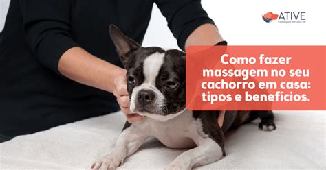 Como fazer massagem no seu cachorro em casa tipos e benefícios