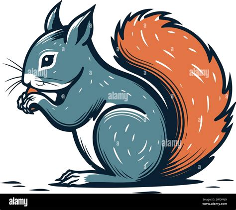 Squirrel With Nut Vector Illustration Of A Squirrel With Nut Stock