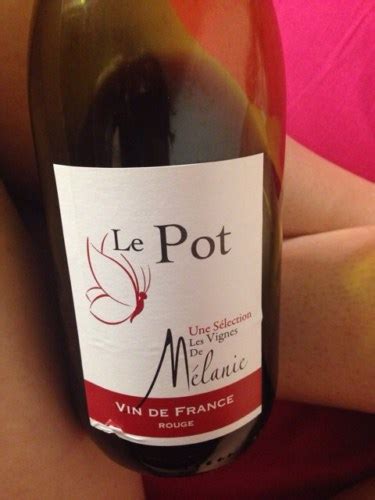 Les Vignes De M Lanie Le Pot Rouge Vivino