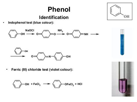 Phenols And Amines