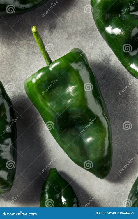 Raw Green Organic Poblano Peppers Stock Photo Image Of Peppers