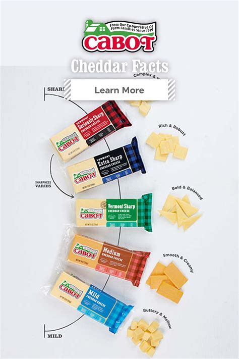 Top 10 Cheddar Cheese Facts