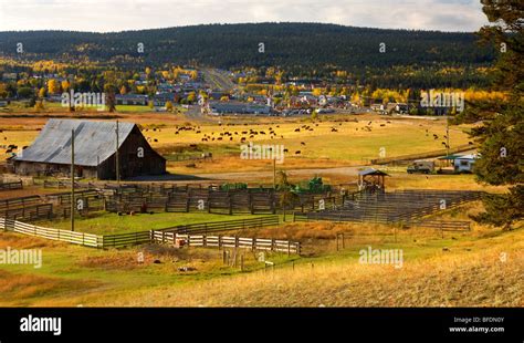 100 Mile Ranch 100 Mile House British Columbia Canada Stock Photo