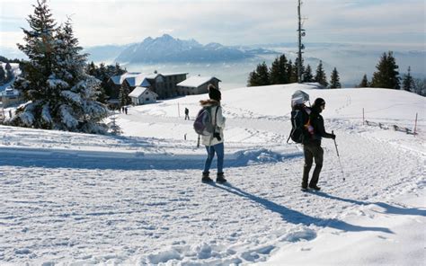 Winter Walk: Mount Rigi • Swiss Family Fun