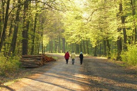 Konigsforst, Cologne | Ticket Price | Timings | Address: TripHobo