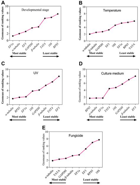 Genes Free Full Text Assessment Of Candidate Reference Genes For