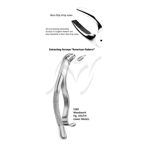 Woodward American Lower Molars Fig 335 Fh Relpro