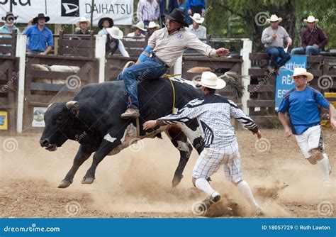 Rodeo - Cowboy Riding A Bull Editorial Stock Image - Image: 18057729