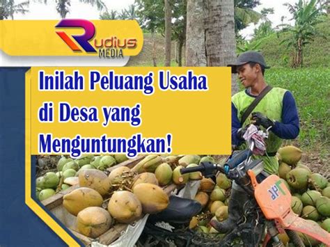 Inilah Peluang Usaha Di Desa Yang Menguntungkan