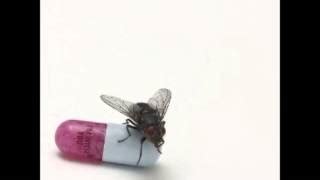 Even You Brutus Von Red Hot Chili Peppers Laut De Song