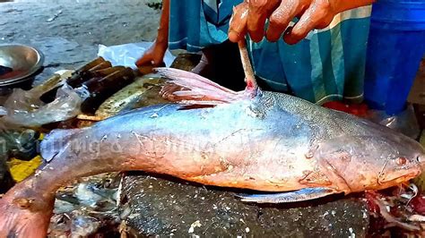 Amazing Live Monster Catfish Cutting Skills In Bangladesh Fish Market