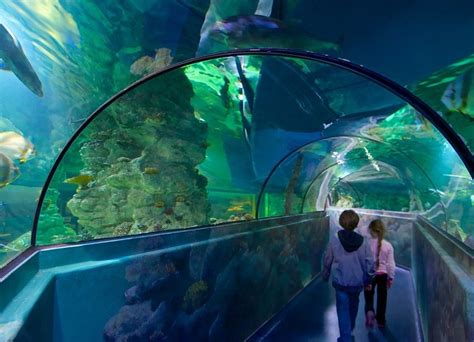 «Акватопия», Aquatopia Antwerp - Антверпен