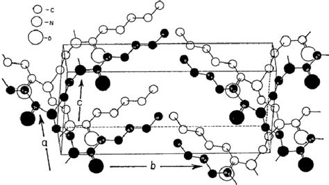 Approximate Crystal Structure Of Poly2 Pentyl 2 Oxazoline Obtained By